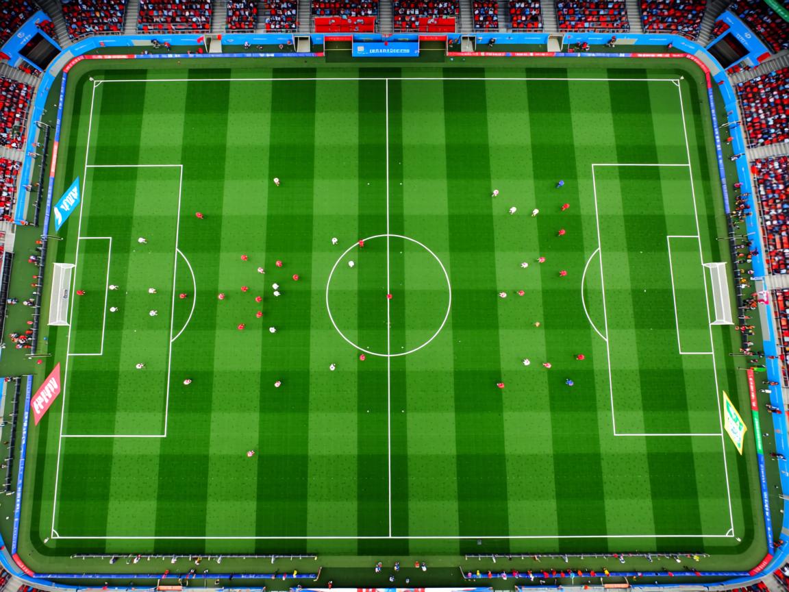 爱游戏app活动-荷兰游泳选手刷新个人最好成绩，闯入决赛  第3张